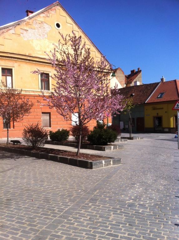 Old City Mary Apartment Braşov Exterior foto